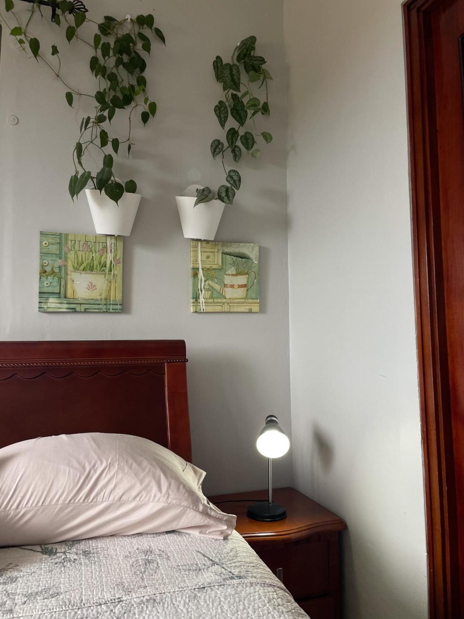 לאס טבלאס Hostel Kimmell / Hostal Familiar La Casita De Los Kimmell חדר תמונה