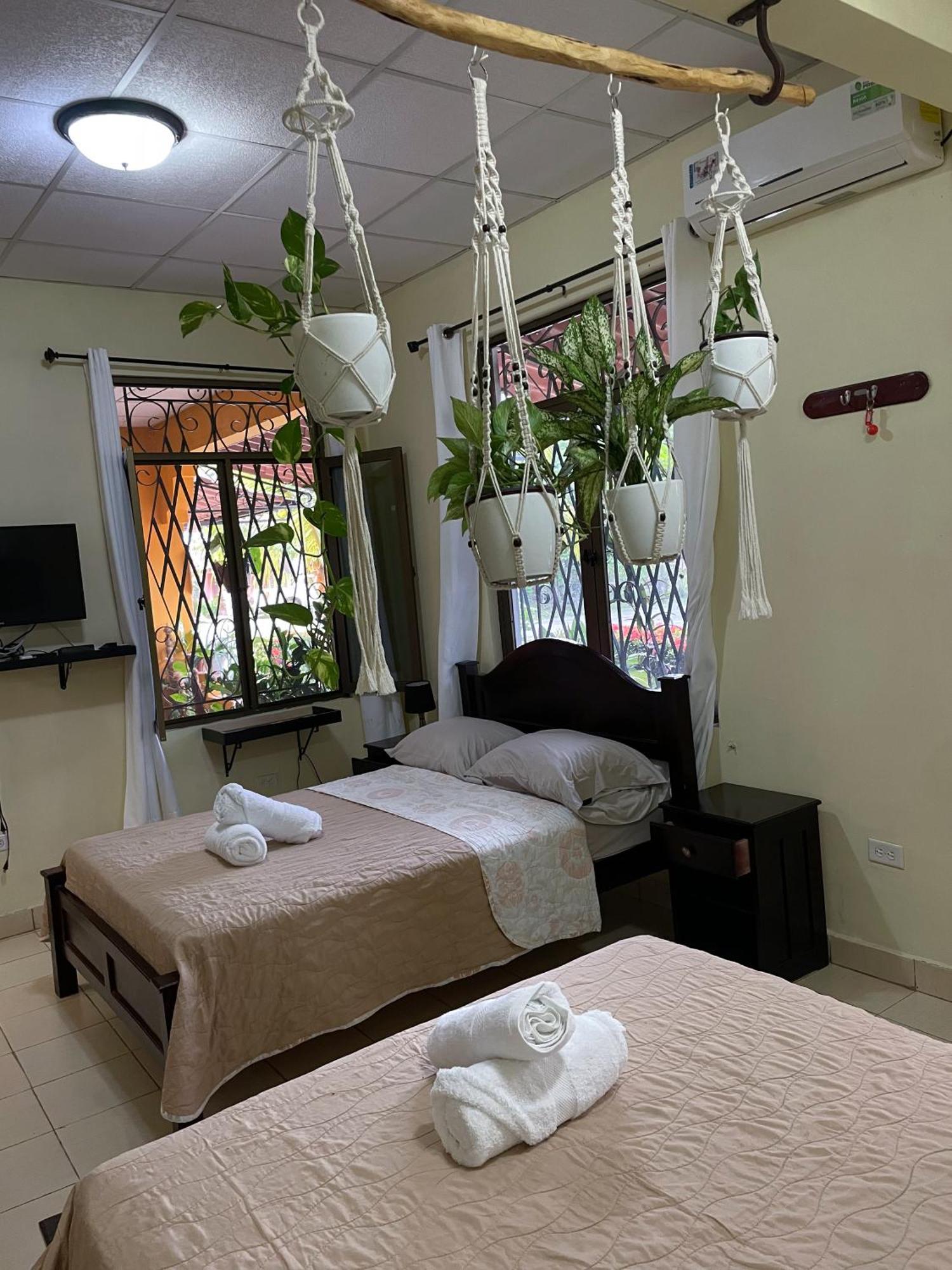 לאס טבלאס Hostel Kimmell / Hostal Familiar La Casita De Los Kimmell חדר תמונה